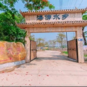 网络图片(侵删)