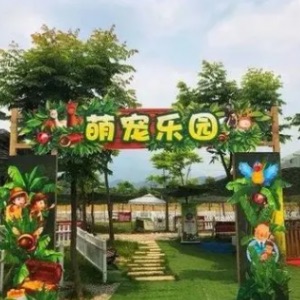 网络图片(侵删)