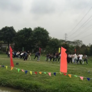 网络图片(侵删)