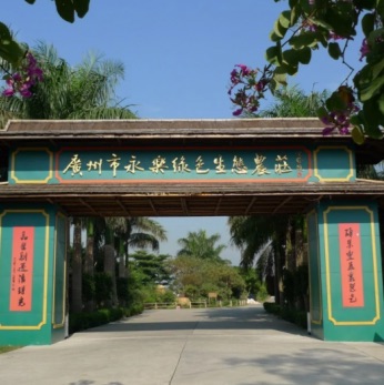 网络图片(侵删)