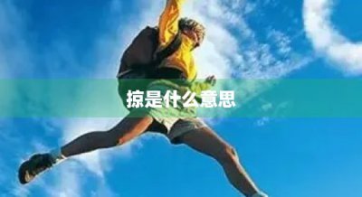 ​掠是什么意思
