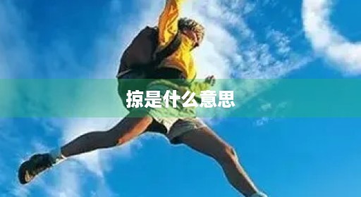 掠是什么意思