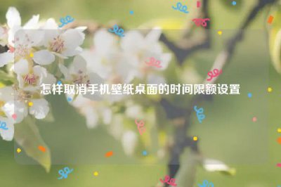 ​怎样取消手机壁纸桌面的时间限额设置