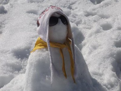 ​平安北京：下雪天别乱踢雪人、里面包的可能是消防栓
