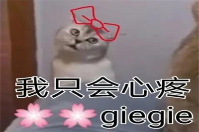 ​GIEGIE是什么梗?谐音梗(哥哥的意思)